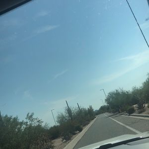 Meet your Posher, Gavin